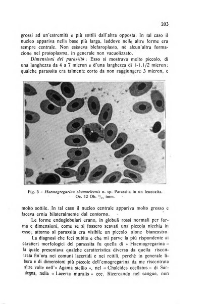 Archivio italiano di scienze mediche coloniali