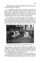 giornale/RML0030840/1933/unico/00000475