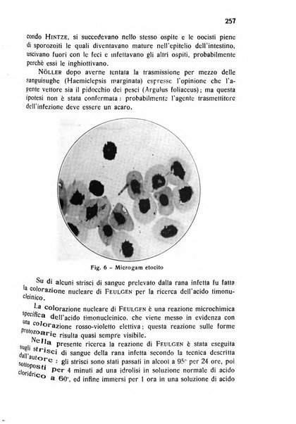 Archivio italiano di scienze mediche coloniali