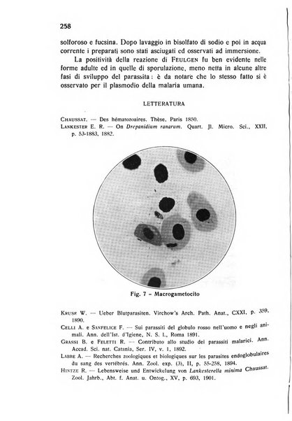 Archivio italiano di scienze mediche coloniali