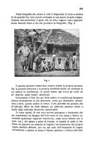 giornale/RML0030840/1934/unico/00000387