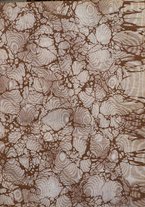 giornale/RML0030995/1901-1902/v.6/00000003