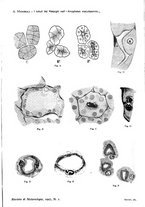 giornale/RML0031005/1927/unico/00000027