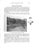 giornale/RML0031005/1927/unico/00000539