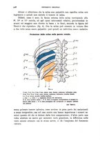 giornale/RML0031005/1927/unico/00000544