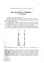 giornale/RML0031005/1928/unico/00000039