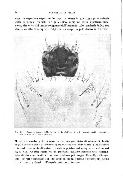 Rivista di malariologia