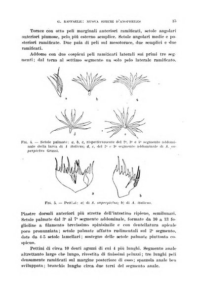 Rivista di malariologia