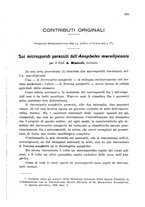 giornale/RML0031005/1929/unico/00000435