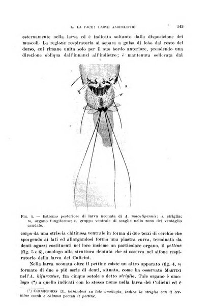 Rivista di malariologia