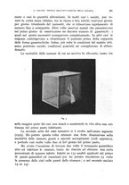 giornale/RML0031005/1930/unico/00000847