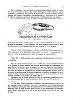 giornale/RML0031005/1931/unico/00000031