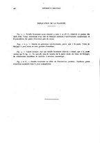 giornale/RML0031005/1931/unico/00000066