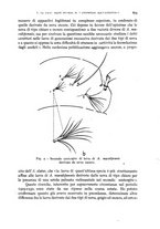 giornale/RML0031005/1931/unico/00000719