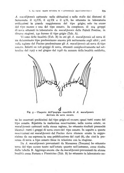 Rivista di malariologia