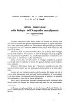 giornale/RML0031005/1931/unico/00000735