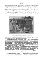 giornale/RML0031005/1932/unico/00000635