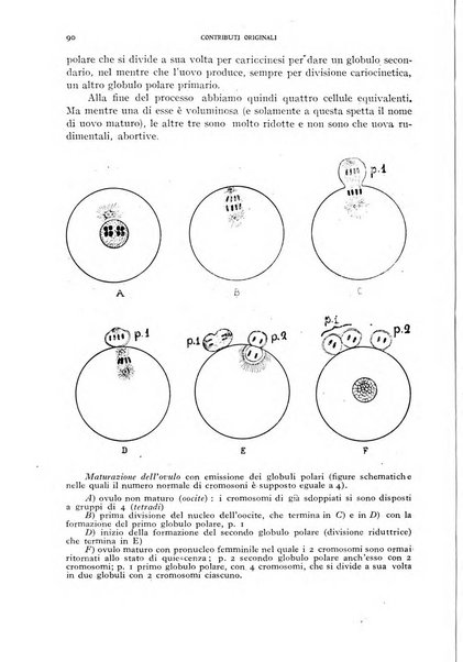 Rivista di malariologia