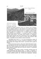 giornale/RML0031005/1937/unico/00000310