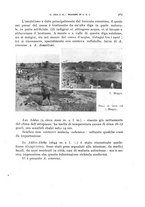 giornale/RML0031005/1937/unico/00000341