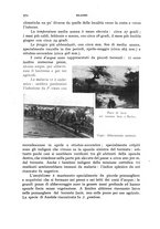 giornale/RML0031005/1937/unico/00000350