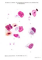 giornale/RML0031005/1940/unico/00000021