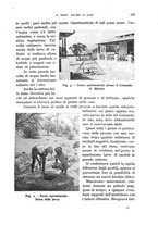 giornale/RML0031005/1940/unico/00000177