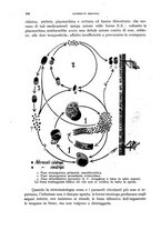 giornale/RML0031005/1940/unico/00000224