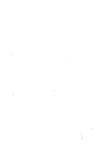 giornale/RML0031005/1946/unico/00000004