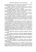 giornale/RML0031005/1946/unico/00000251