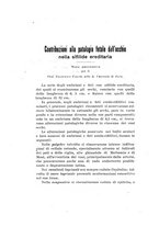 giornale/RML0031014/1905/unico/00000300