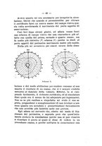 giornale/RML0031014/1906/unico/00000065