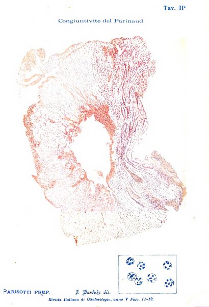 Rivista italiana di ottalmologia