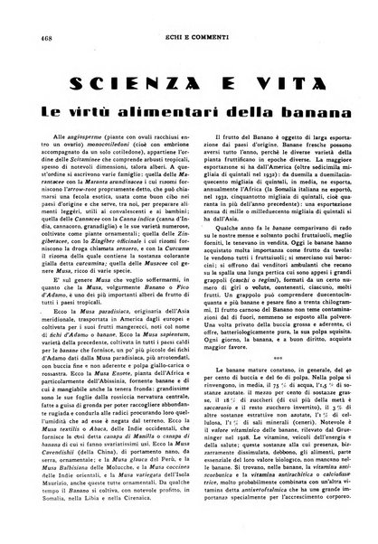 Echi e commenti rassegna universale della stampa