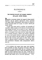 giornale/RML0031357/1864/unico/00000261