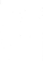 giornale/RML0031357/1871/v.2/00000004