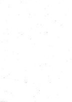 giornale/RML0031357/1876/v.2/00000003