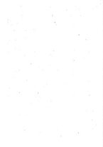 giornale/RML0031357/1877/v.2/00000004