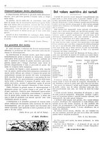 giornale/RML0031489/1907/unico/00000040