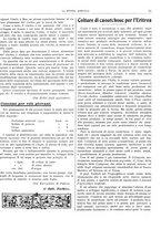giornale/RML0031489/1907/unico/00000099