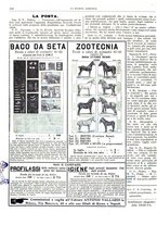 giornale/RML0031489/1907/unico/00000186