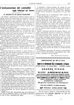 giornale/RML0031489/1907/unico/00000415