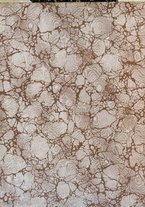 giornale/RML0031489/1908/unico/00000002