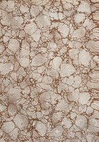 giornale/RML0031489/1908/unico/00000003