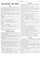 giornale/RML0031489/1908/unico/00000397