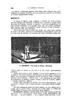giornale/RML0031983/1922/V.2/00000378