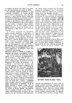 giornale/RML0031983/1923/V.6.1/00000489