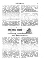 giornale/RML0031983/1923/V.6.1/00000603