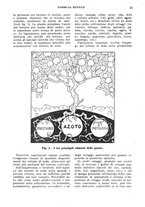 giornale/RML0031983/1923/V.6.1/00000605