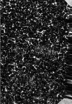 giornale/RML0031983/1934/V.17.2/00000001